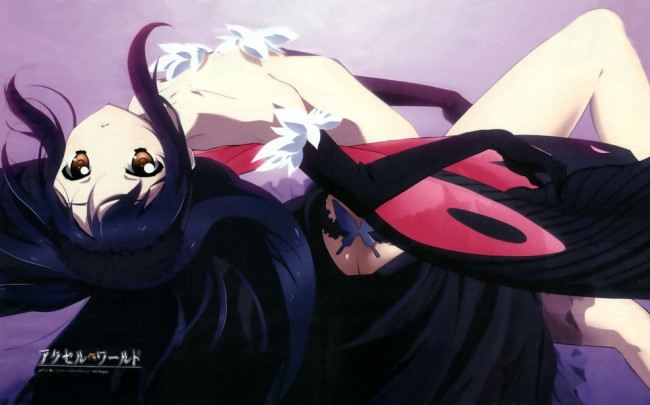 Otaku Life: Review : Accel World